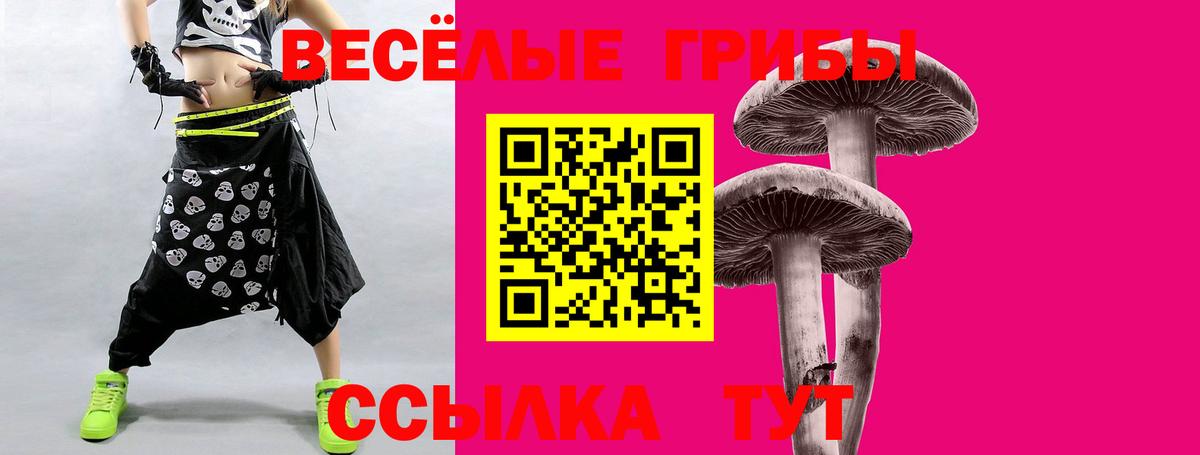 Псилоцибиновые грибы GOLDEN TEACHER  Вход с VPN  Кызыл 